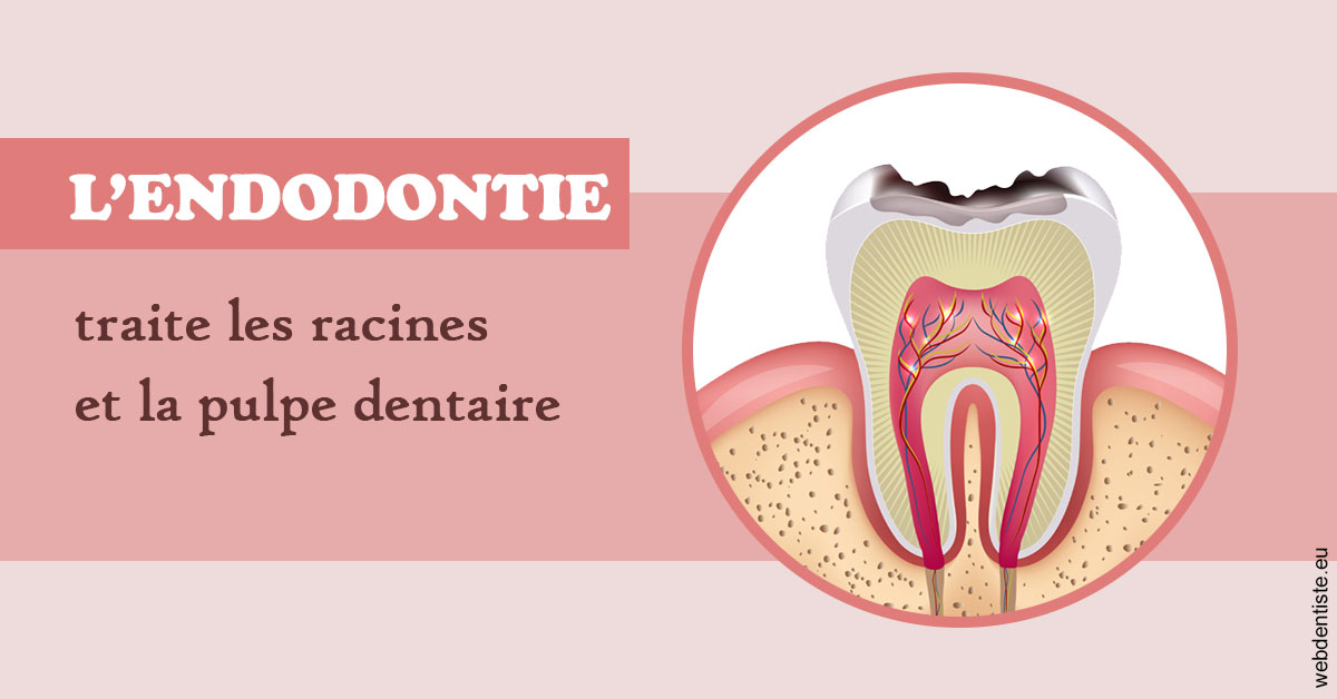https://dr-strube-nicolas.chirurgiens-dentistes.fr/L'endodontie 2