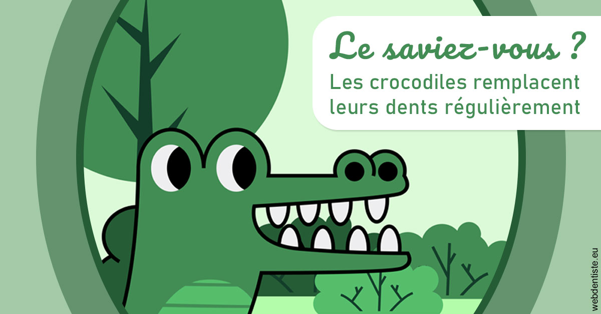 https://dr-strube-nicolas.chirurgiens-dentistes.fr/Crocodiles 2
