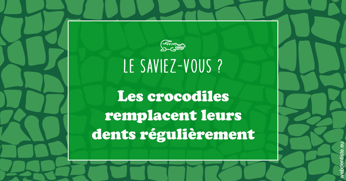 https://dr-strube-nicolas.chirurgiens-dentistes.fr/Crocodiles 1